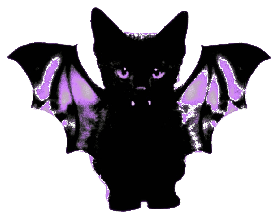 Vamp Cat: a black kitten with bat wings and tiny fangs.